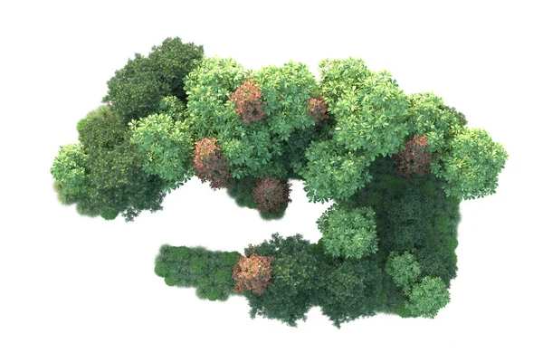 Höst Träd Isolerad Vit Bakgrund Illustration — Stockfoto