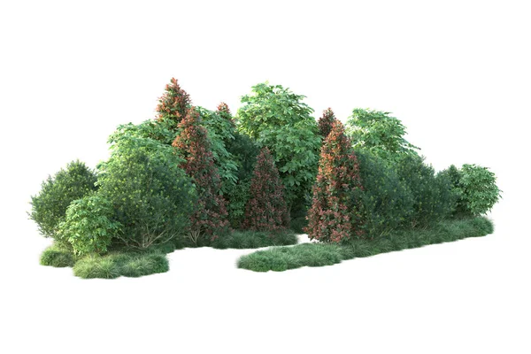秋天的树 白色背景 3D插图 — 图库照片