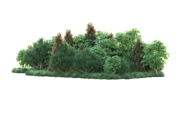白い背景に隔離された秋の木 3Dイラスト — ストック写真