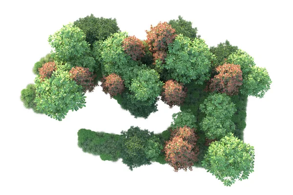 白い背景に隔離された秋の木 3Dイラスト — ストック写真