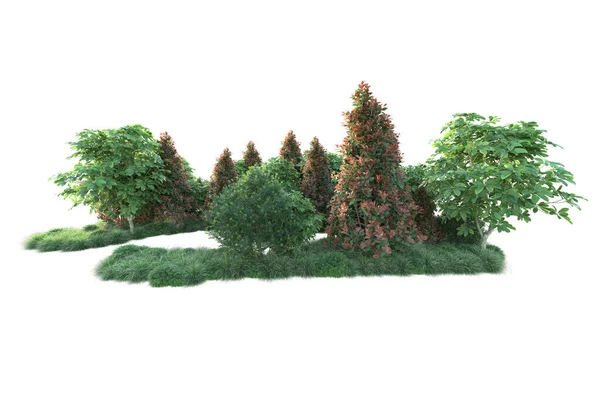Осінні Дерева Ізольовані Білому Тлі Ілюстрація — стокове фото