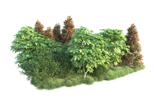 秋の葉 白い背景に隔離された木 3Dイラスト — ストック写真