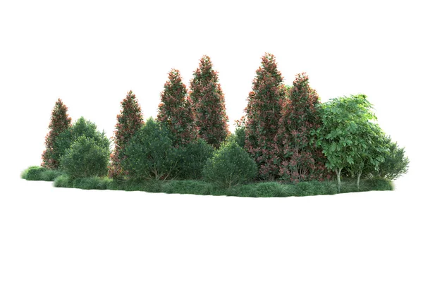 Herfstblad Bomen Geïsoleerd Witte Achtergrond Illustratie — Stockfoto