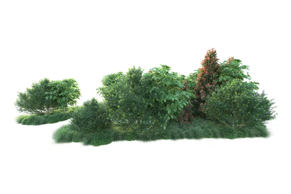 Herfstblad Bomen Geïsoleerd Witte Achtergrond Illustratie — Stockfoto