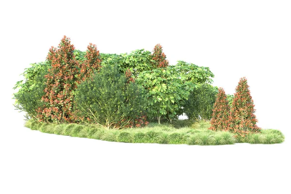 秋の葉 白い背景に隔離された木 3Dイラスト — ストック写真