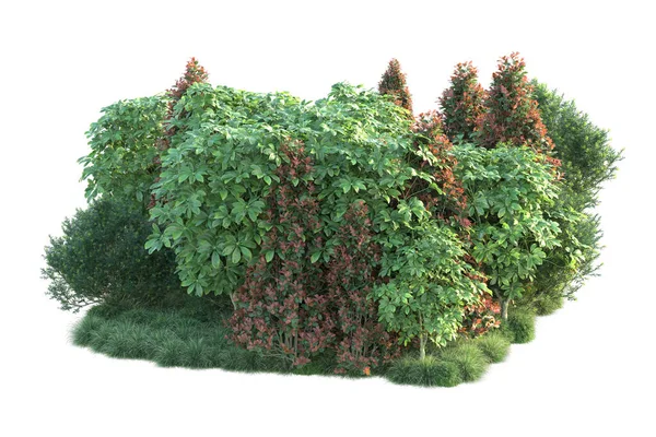 森林の葉 白い背景に隔離された木 3Dイラスト — ストック写真