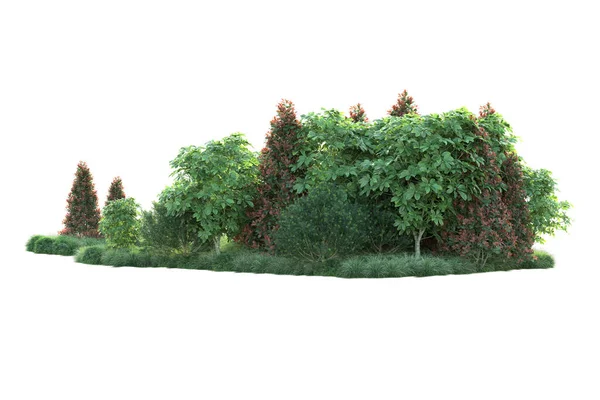 森林树叶 在白色背景上隔离的树 3D插图 — 图库照片