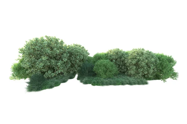 Orman Yaprakları Beyaz Arka Planda Izole Edilmiş Ağaçlar Boyutlu Illüstrasyon — Stok fotoğraf