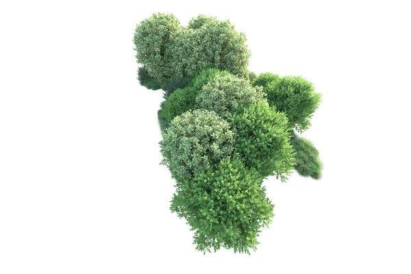 森林の葉 白い背景に隔離された木 3Dイラスト — ストック写真