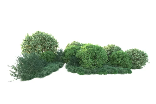 Лесная Листва Деревья Белом Фоне Иллюстрация — стоковое фото