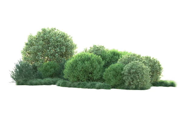 白い背景と森の木 3Dイラスト — ストック写真