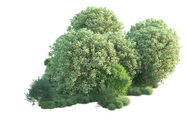 Vit Bakgrund Och Skog Träd Illustration — Stockfoto