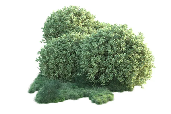 Ilustração Fundo Branco Árvores Florestais Com Folhas Verdes — Fotografia de Stock