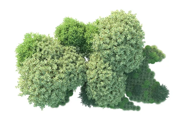 Boyutlu Illüstrasyon Beyaz Arka Plan Yeşil Yapraklı Orman — Stok fotoğraf