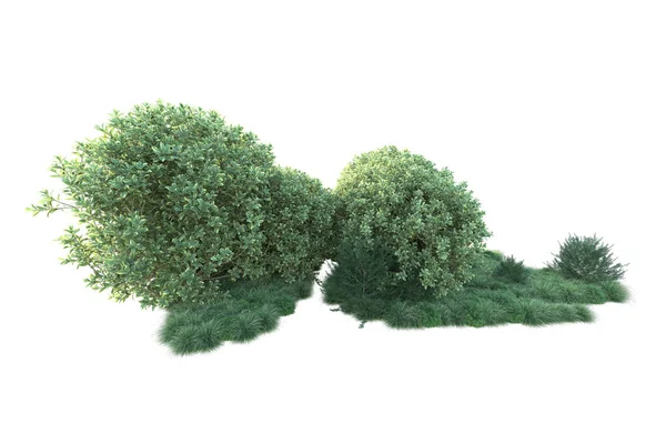 Ilustrace Bílé Pozadí Lesní Stromy Zelenými Listy — Stock fotografie