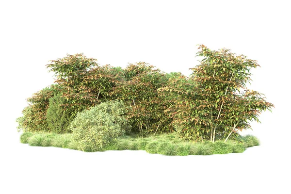 Illusztráció Fehér Háttér Erdők Zöld Levelek — Stock Fotó
