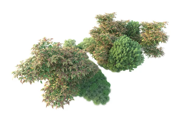 Boyutlu Illüstrasyon Beyaz Arka Plan Yeşil Yapraklı Orman Ağaçları — Stok fotoğraf