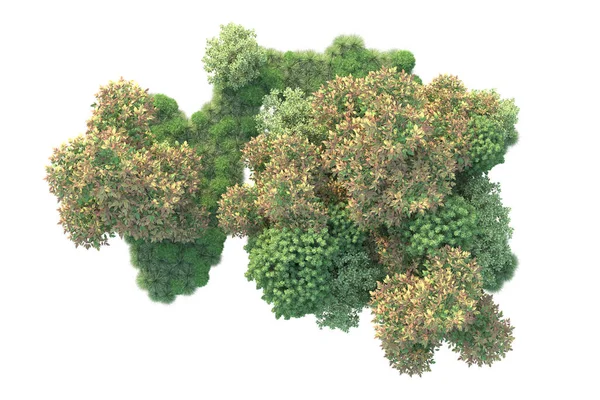 3Dイラスト 緑の葉のある白い背景と森の木 — ストック写真