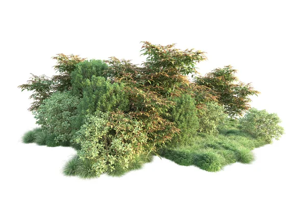 3Dイラスト 緑の葉のある白い背景と森の木 — ストック写真