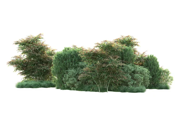 Иллюстрация Белый Фон Деревья Леса Зелеными Листьями — стоковое фото