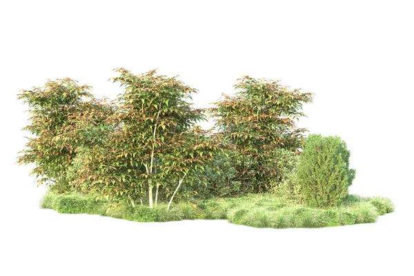 Illustration Weißer Hintergrund Und Waldbäume Mit Grünen Blättern — Stockfoto