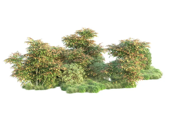 Illustration Weißer Hintergrund Und Waldbäume Mit Grünen Blättern — Stockfoto