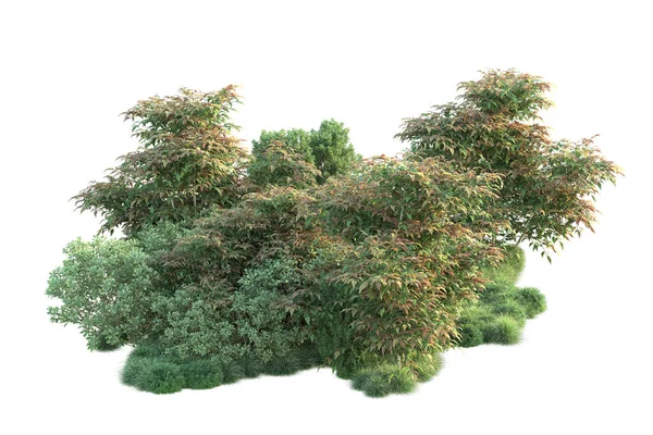 Boyutlu Illüstrasyon Beyaz Arka Plan Yeşil Yapraklı Orman Ağaçları — Stok fotoğraf
