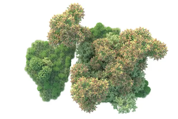 Illustratie Witte Achtergrond Bosbomen Met Groene Bladeren — Stockfoto
