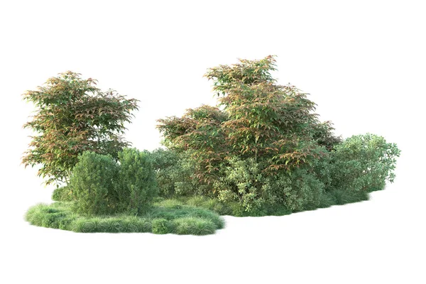 Ilustrace Lesních Stromů Zelenými Listy Park Flóra Izolované Bílém Pozadí — Stock fotografie