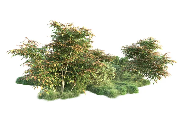Ilustracja Drzew Leśnych Zielonymi Liśćmi Flora Parku Odizolowany Białym Tle — Zdjęcie stockowe