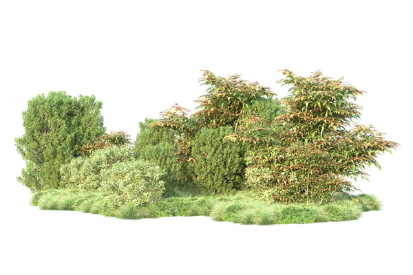 Ilustração Árvores Florestais Com Folhas Verdes Flora Parque Isolada Fundo — Fotografia de Stock