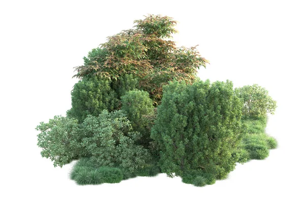 緑の葉を持つ森林樹の3Dイラスト 白い背景に隔離された公園の植物 — ストック写真