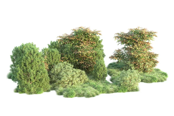 Árvores Parque Com Folhas Verdes Isoladas Branco Fundo Para Espaço — Fotografia de Stock