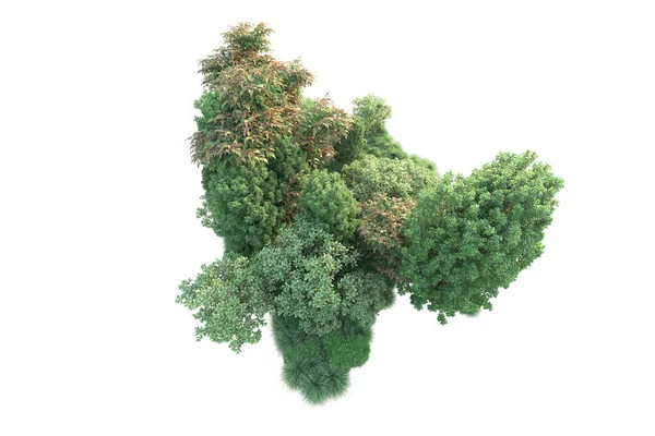 緑の葉を持つ森林樹の3Dイラスト 白い背景に隔離された公園の植物 — ストック写真