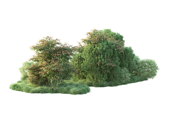 Ілюстрація Лісових Дерев Зеленим Листям Флора Парку Ізольована Білому Тлі — стокове фото