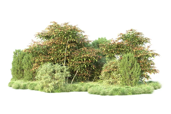 Ilustração Árvores Florestais Com Folhas Verdes Flora Parque Isolada Fundo — Fotografia de Stock
