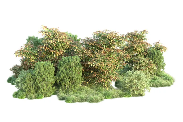 Απεικόνιση Των Δασικών Δέντρων Πράσινα Φύλλα Χλωρίδα Πάρκο Που Απομονώνονται — Φωτογραφία Αρχείου