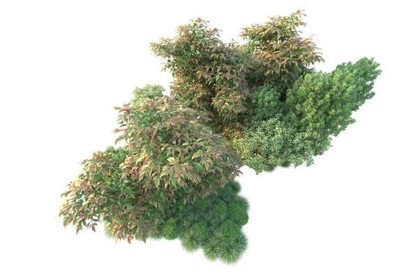 Illustration Von Waldbäumen Mit Grünen Blättern Parkflora Isoliert Auf Weißem — Stockfoto
