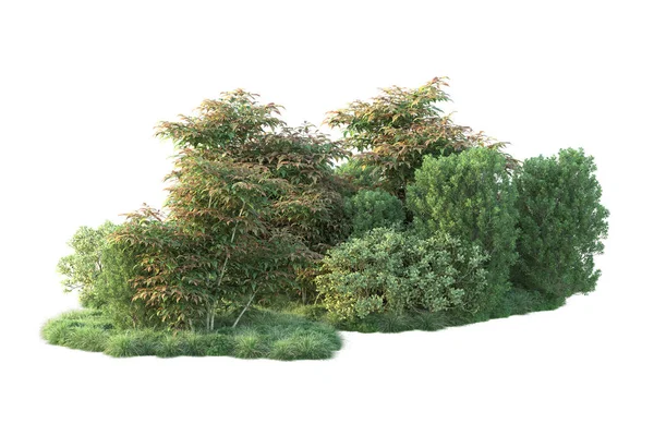 Illustratie Van Bos Bomen Met Groene Bladeren Park Flora Geïsoleerd — Stockfoto