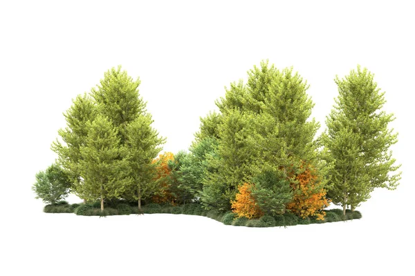 Dřevěné Stromy Izolované Bílém Pozadí Pro Kopírování Prostor — Stock fotografie