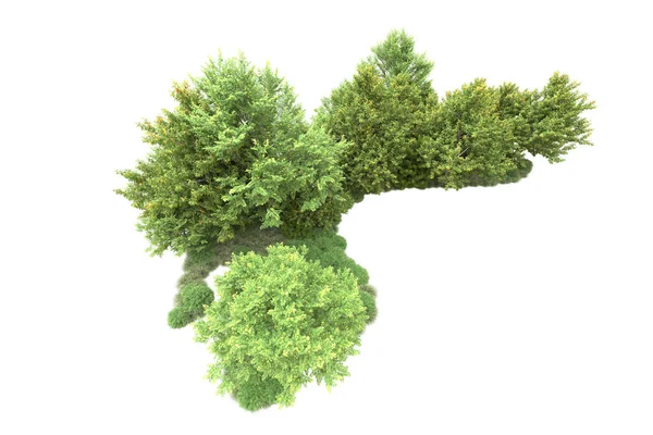 Realistische Groene Zomerbomen Geïsoleerd Witte Achtergrond Voor Kopieerruimte — Stockfoto
