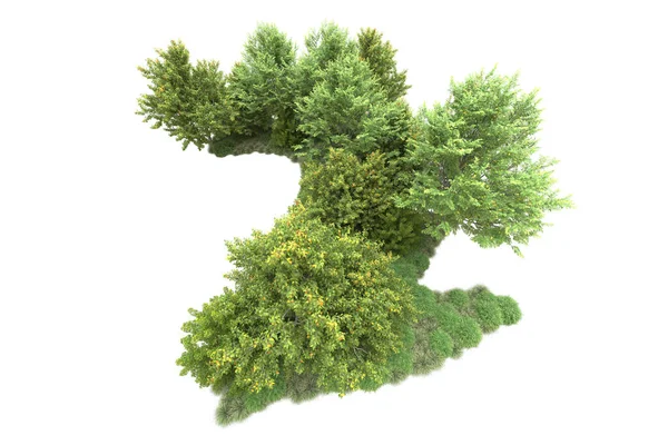 コピースペースのための白い背景に隔離された現実的な緑の夏の木 — ストック写真