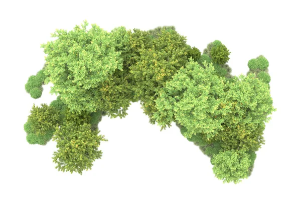 Realistyczne Zielone Drzewa Letnie Odizolowane Białym Tle Dla Miejsca Kopiowania — Zdjęcie stockowe