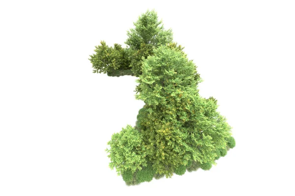 在白色背景上隔离的现实的绿色夏树 用于复制空间 — 图库照片