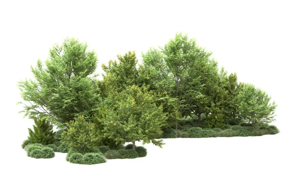 Realistické Zelené Letní Stromy Izolované Bílém Pozadí Pro Kopírování Prostoru — Stock fotografie