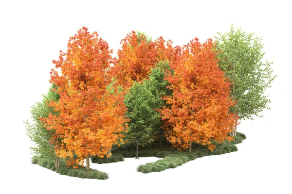 Orman ıssız. Görüntü pankartlar, posterler ya da fotoğraf manipülasyonları için kullanışlı. 3d görüntüleme - illüstrasyon