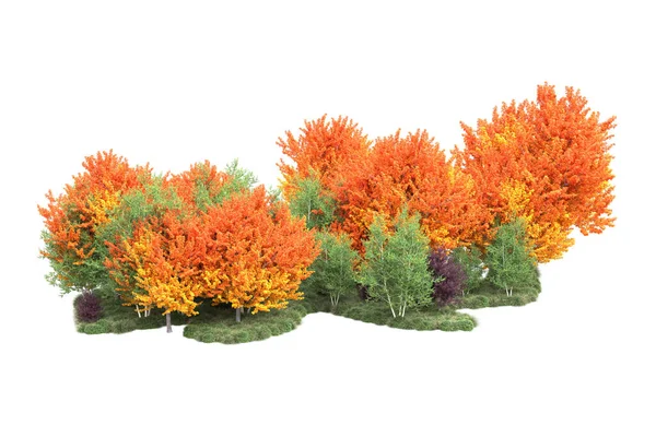 Orman ıssız. Görüntü pankartlar, posterler ya da fotoğraf manipülasyonları için kullanışlı. 3d görüntüleme - illüstrasyon