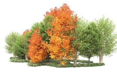 Orman ıssız. Görüntü pankartlar, posterler ya da fotoğraf manipülasyonları için kullanışlı. 3d görüntüleme - illüstrasyon