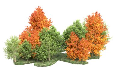 Orman ıssız. Görüntü pankartlar, posterler ya da fotoğraf manipülasyonları için kullanışlı. 3d görüntüleme - illüstrasyon