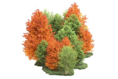 Orman ıssız. Görüntü pankartlar, posterler ya da fotoğraf manipülasyonları için kullanışlı. 3d görüntüleme - illüstrasyon